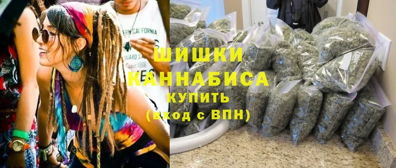 Бошки марихуана гибрид  продажа наркотиков  Дубовка 